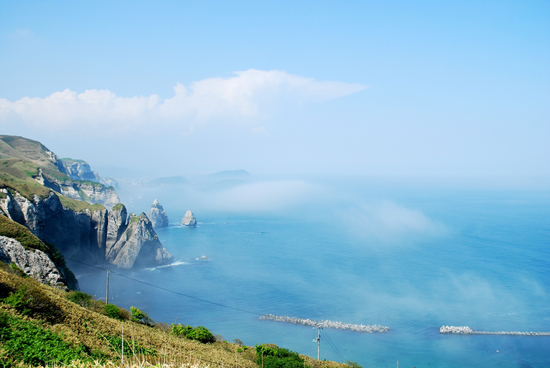 DSC_9310[1]