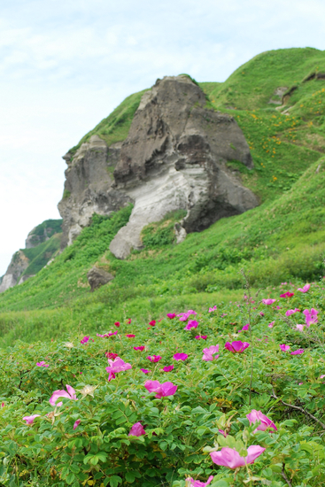 DSC_9840[1]