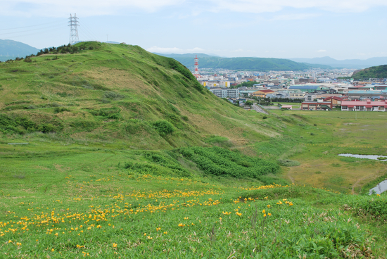 DSC_9871[1]