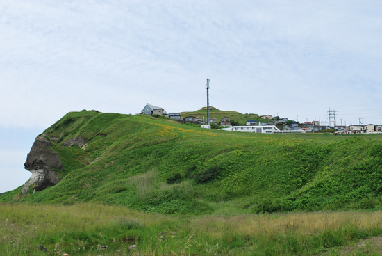 DSC_9904[1]