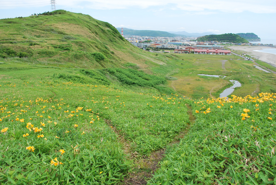 DSC_9882[1]