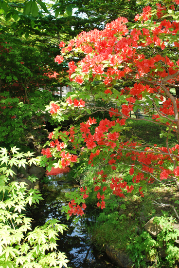 DSC_9397[1]