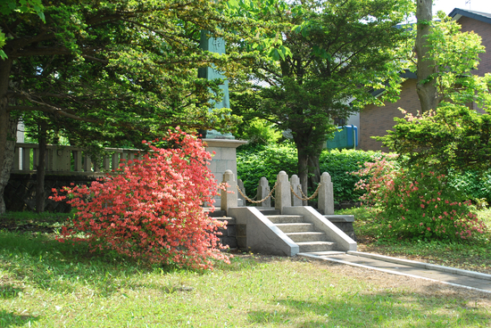 DSC_9393[1]