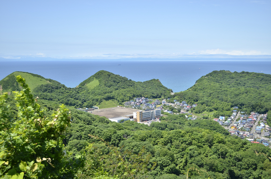 _D700100[1]