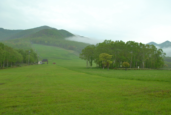 DSC_8708[1]