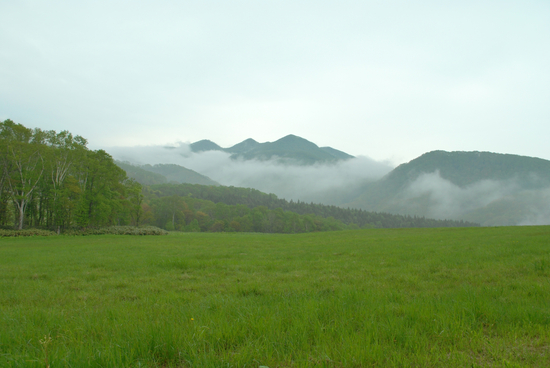 DSC_8711[1]