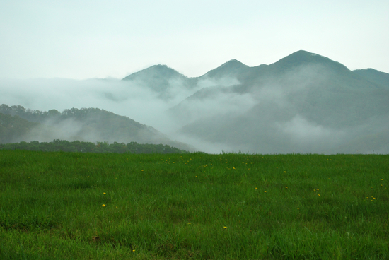 DSC_8730[1]