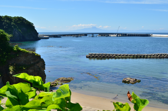 D70_1731[1]