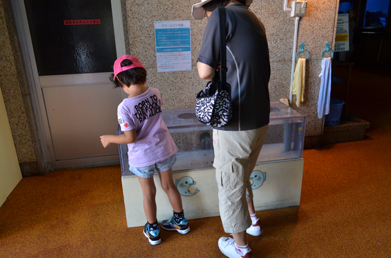D70_1833[1]