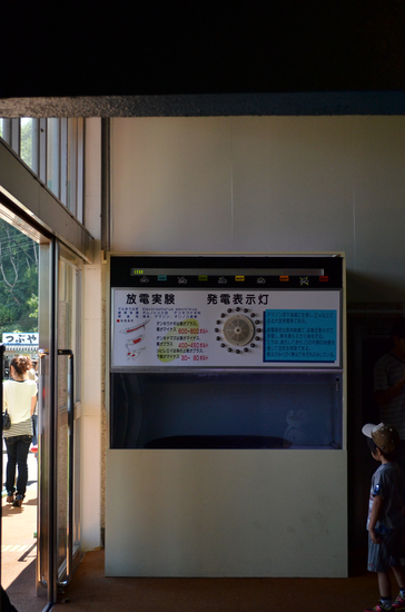 D70_1873[1]