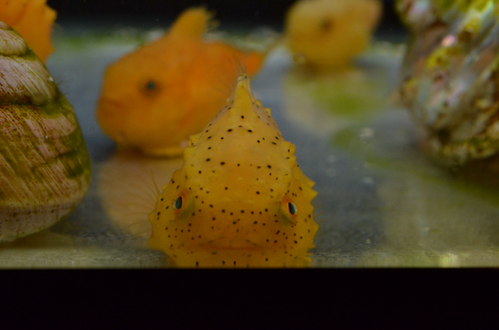 D70_1836[1]