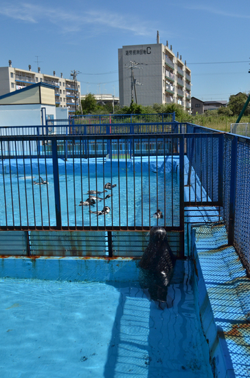 D70_1898[1]
