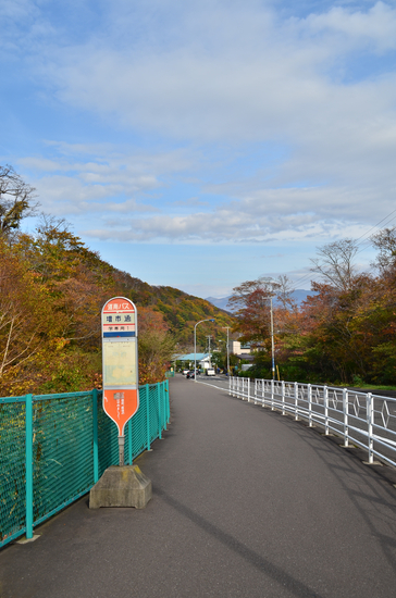 D70_2533[1]