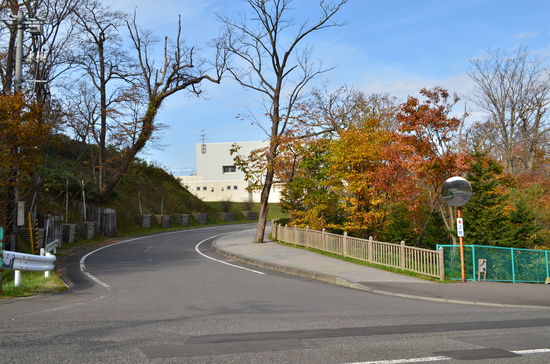 D70_2532[1]