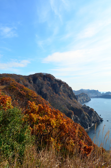 D70_2526[1]