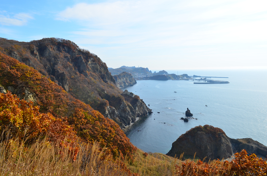 D70_2525[1]