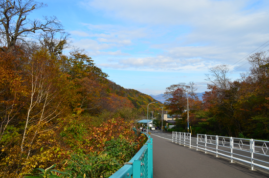 D70_2535[1]