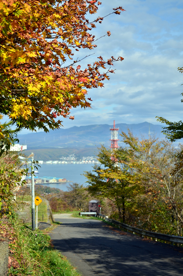 D70_2513[1]