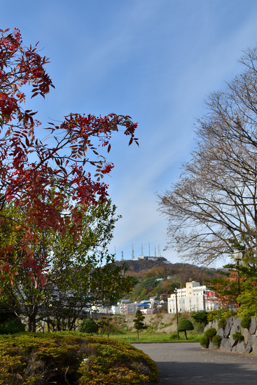 D70_2581[1]