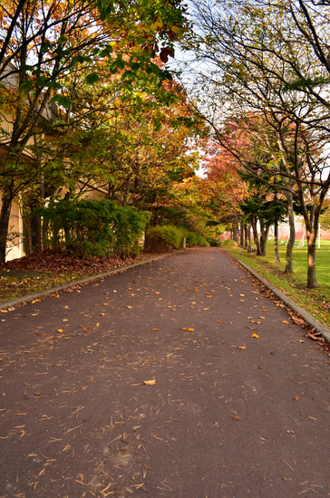 D70_2598[1]