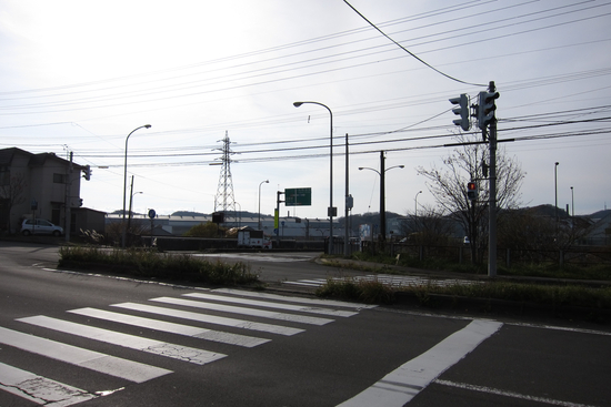 IMG_3495[1]