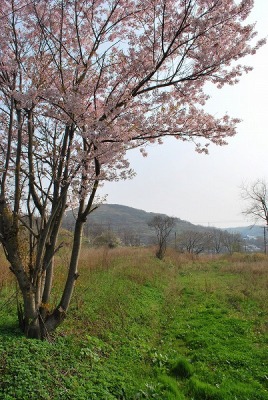 DSC_0323_20090421123324.jpg