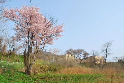DSC_0331_20090422074827.jpg