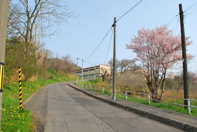 DSC_0341_20090422074827.jpg