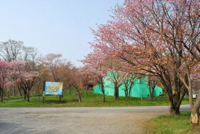 DSC_0358_20090422074827.jpg