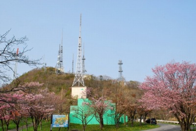 DSC_0361_20090422074935.jpg