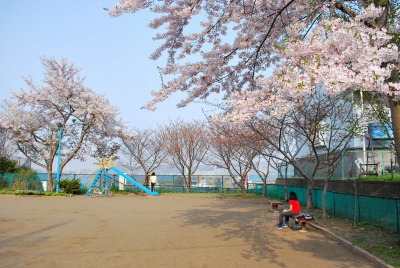 DSC_0377.jpg