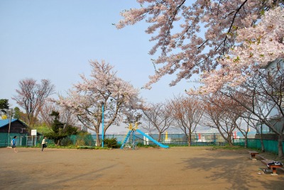 DSC_0385.jpg