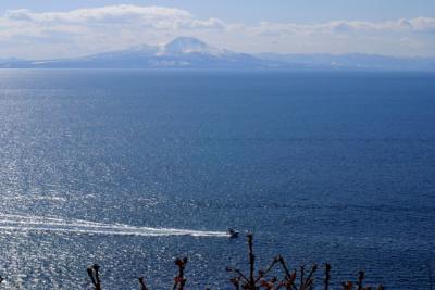 DSC_2600.jpg