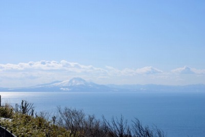 DSC_2620_20090422075036.jpg