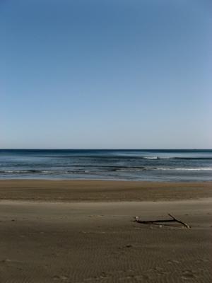 IMG_0776.jpg