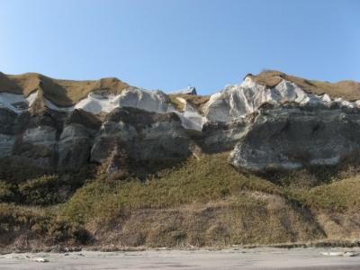 IMG_0784.jpg