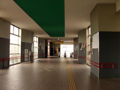 IMG_8364.jpg