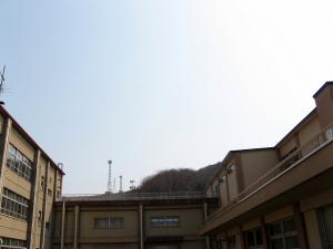 IMG_8517.jpg