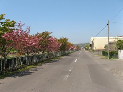 IMG_8572.jpg