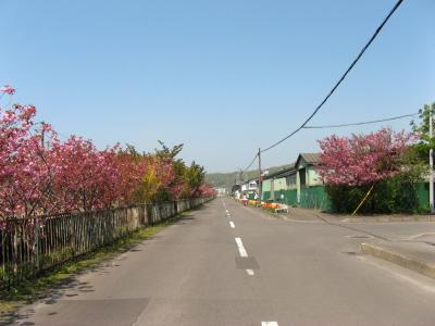 IMG_8577.jpg