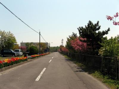 IMG_8579.jpg