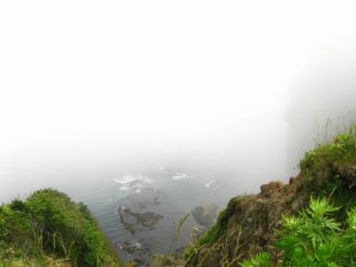 IMG_8896.jpg
