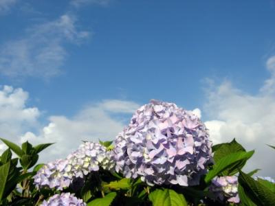 IMG_8974.jpg